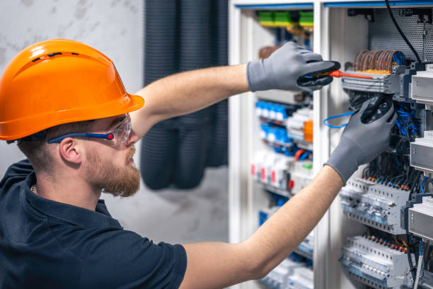 Best Electric Panel Repair  in Rio Grande, NJ